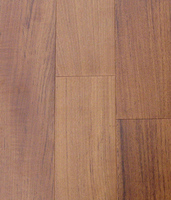 Burma Teak 02