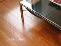 Burma Teak 01