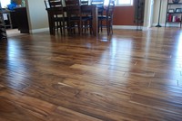 Small Leaf Acacia 02